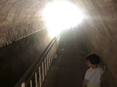 -白水寺森林公园