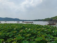 -西湖游船