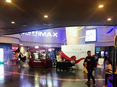 -万达影城(汉街万达广场IMAX店)