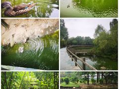 -沈阳鸟岛