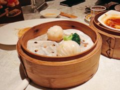 -南海渔村(珠江新城店)