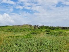 -龙坑生态保护区