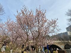 -元大都城垣遗址公园