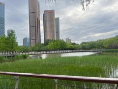 -大望京公园