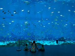 -海昌极光餐厅