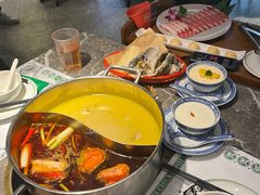 -禄婶鸡煲·打边炉