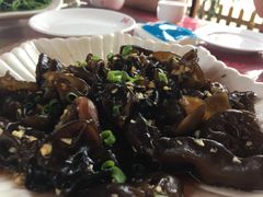 -迈臣农家乐