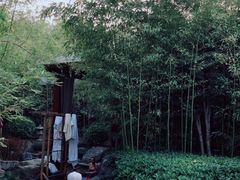 -楼观道温泉酒店