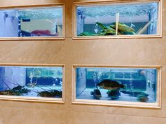 -云庭汇·粤菜海鲜(东盟盛天地店)