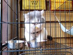 -四季暖堂·融合江浙菜(N1955创业园店)