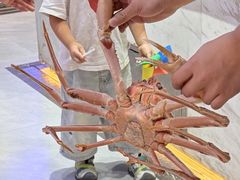 -开海·红岛海鲜虾水饺(石老人店)