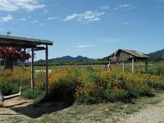-北京东方普罗旺斯薰衣草庄园