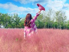 -天津东丽湖风景区