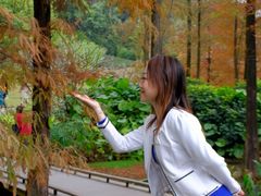 -云溪植物园