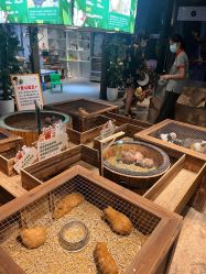 -酷嗒动物文化乐园(cutezoo西溪乐天城店)