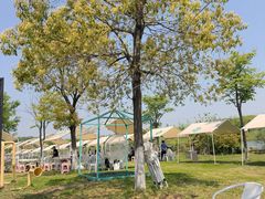 -梁子湖东篱老屋生态庄园