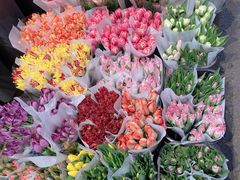 -循礼门鲜花花市(武汉循礼门店)