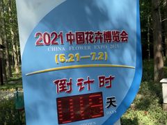 -东平国家森林公园