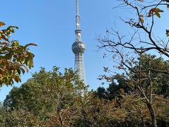 -文华公园(禅城区)