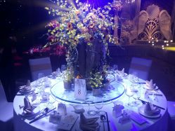 -M'S BANQUET AND SPACE ART