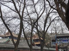 -北京国子监胡同