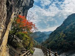 -燕子河大峡谷天坑仙境