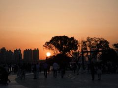 -金鸡湖景区