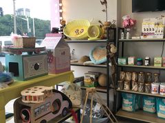 -70cat德文卷毛猫·缅因猫纯种猫舍