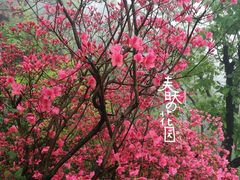 -西泰山风景区