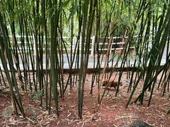 -晓港公园
