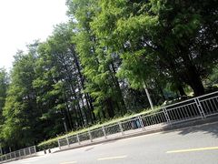 门面-四海公园(南山区)