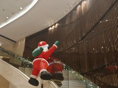 -蟹福家活蟹料理·豪华自助(绿洲假日酒店)