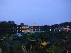 -西海子公园