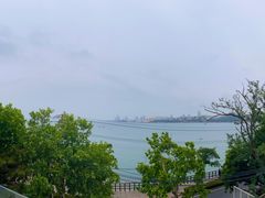 景观位-Vanilla Specialty Coffee(八大关店)