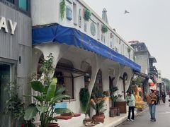 -Sirena海妖日咖夜酒