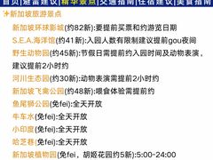 -圣淘沙天际线斜坡滑车