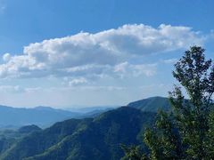 -四明山国家森林公园