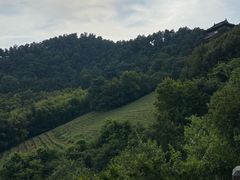 -敬亭山风景名胜区