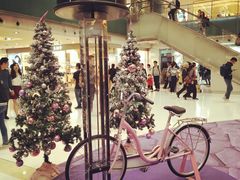 -Lady M(沙田新城市广场店)