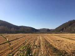 -南泥湾风景区