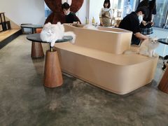-瞄一喵猫咖(格力海岸店)