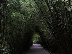 -望江楼公园