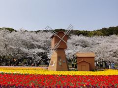 -苏州上方山国家森林公园