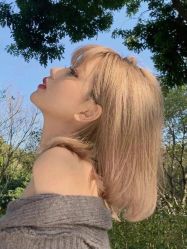 -菲·木田moontin造型salon