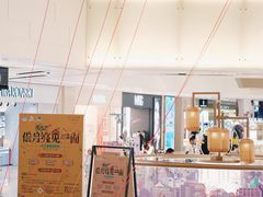 -岭南站NOVA