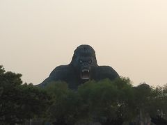 -太阳部落