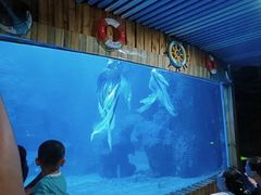 -左海海底世界
