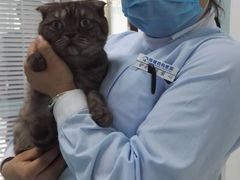 -纳吉亚猫专科动物医院博雅分院
