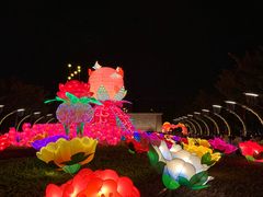 -映月湖公园