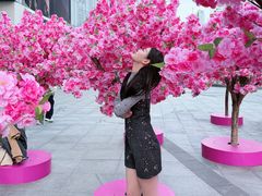 -金茂览秀城